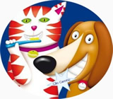 Banho e Tosa de Animais em Presidente Prudente