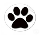 pet-shops-no-Presidente Prudente